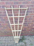Fan trellis 110cm tall X 60cm wide