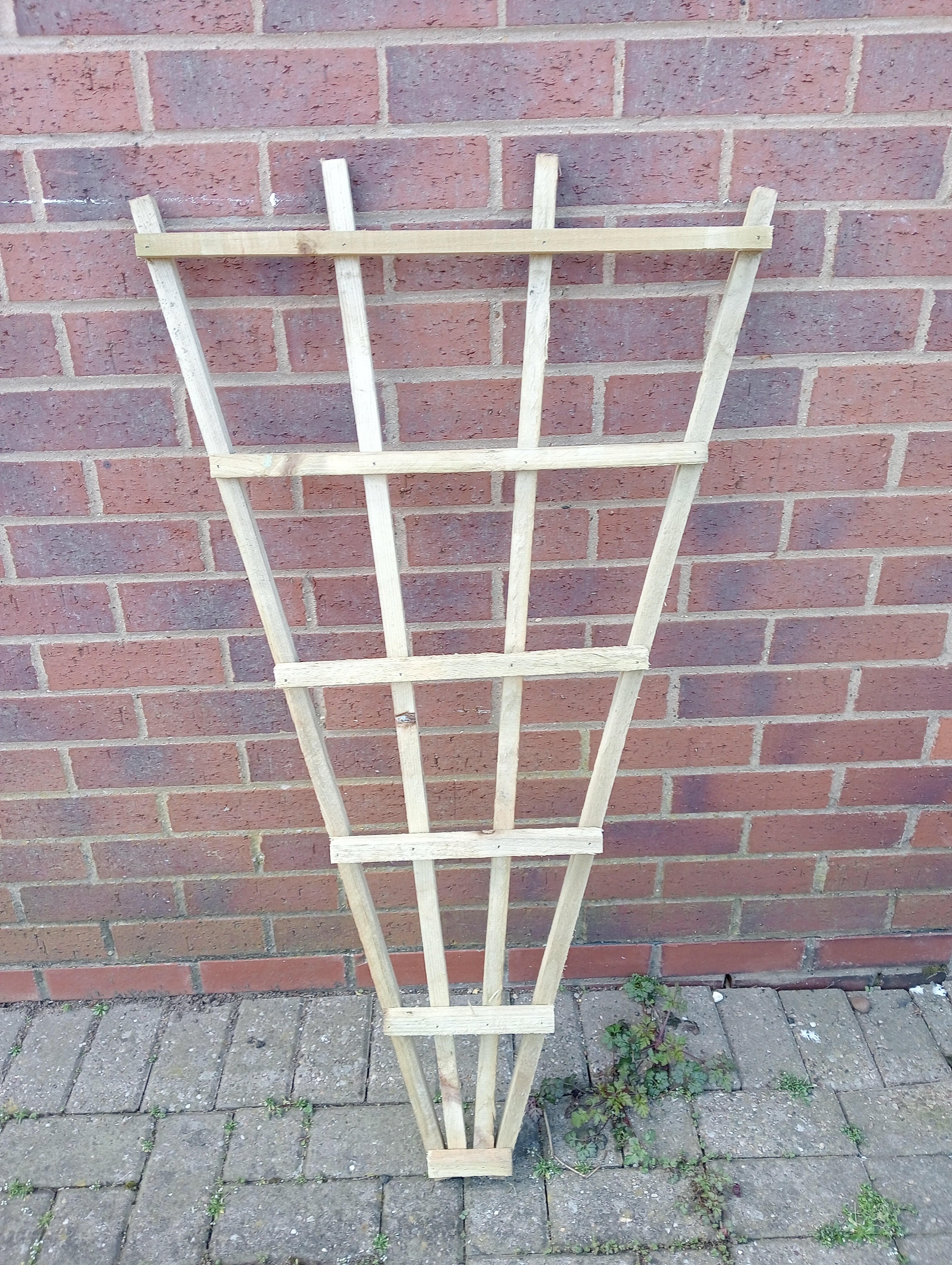 Fan trellis 110cm tall X 60cm wide